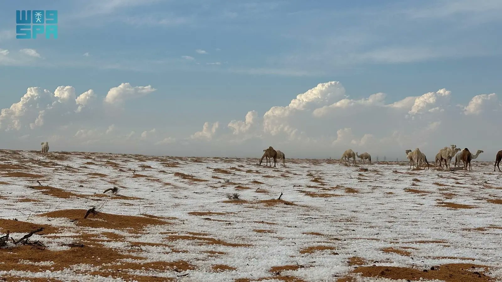 Grandinata nel deserto di Hail